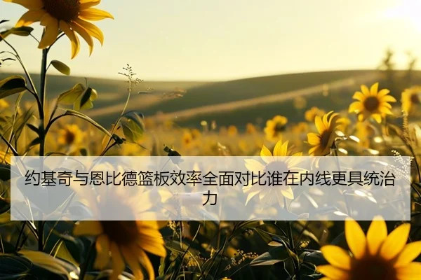 约基奇与恩比德篮板效率全面对比谁在内线更具统治力